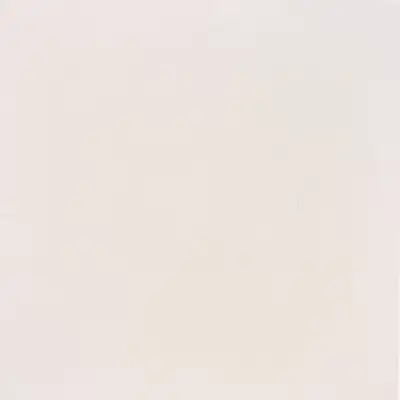 Casalgrande Padana Unicolore Technic Bianco B 40x40