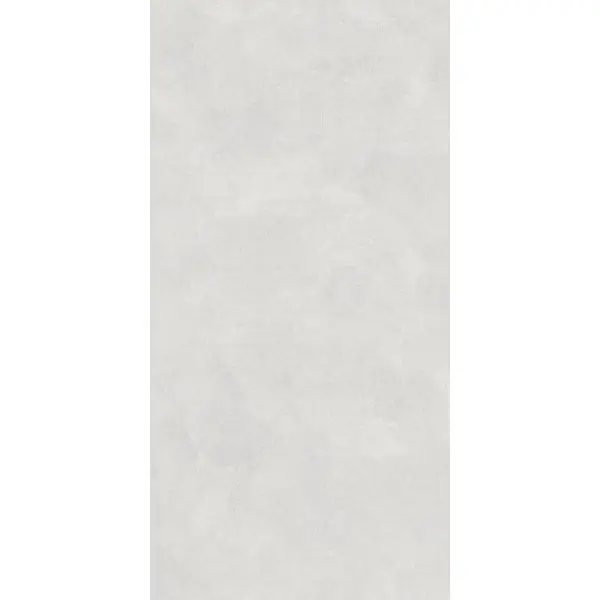 Lasselsberger (LB-Ceramics) Иней Техно 6493-0197 Бетон Светло-серый 60x120 - керамическая плитка и керамогранит