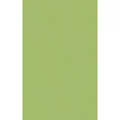 Casalgrande Padana Architecture 3045712 Acid Green Antibacterial 45x90