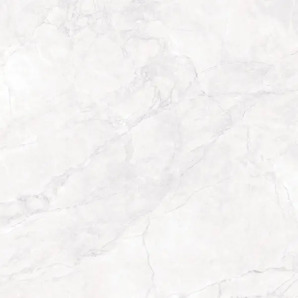 Arcadia Ceramica Arctic CR6008-A White Carving 60x60 - керамическая плитка и керамогранит