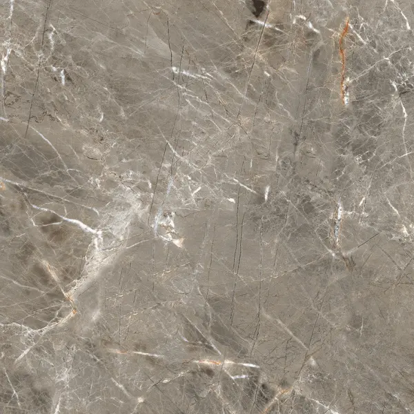 Primavera Royce R_NR1011 Olympia Grey Matt 60x60