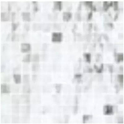 Roberto Cavalli Home Lush 0509149 Cal Mos Ren 29,6x29,6