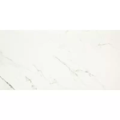 Casalgrande Padana Marmoker 2560217 Statuario Grigio Lucido 120x240