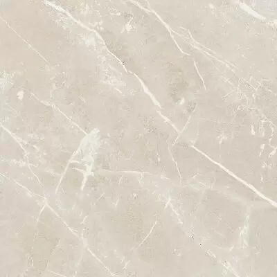 Cerim Ceramiche Elemental Stone 766942 ST White Dolomia Nat Ret 60x60