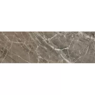 Versace Marble Grigio Onice Lap. 240036 19.5x58.5