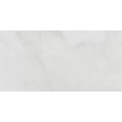Pamesa CR Sardonyx White Leviglass 120 60x120