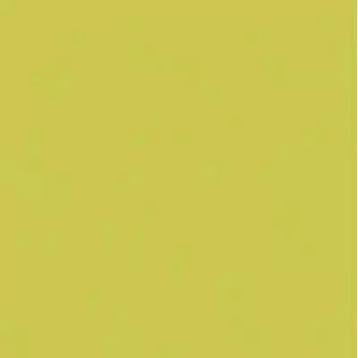 Rako Color One GAA1K464 Оливковая 20x20