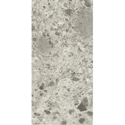 Ariostea Fragmenta P612618 Grigio Milano Soft 60x120