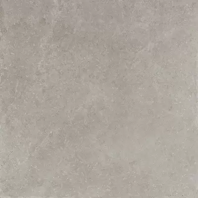 Panaria Prime Stone PGGPML2 Silver Lux Rect 90x90