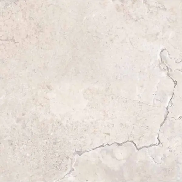 Ariana Memento 0012324 Limoges White Ant 120x120 - керамическая плитка и керамогранит