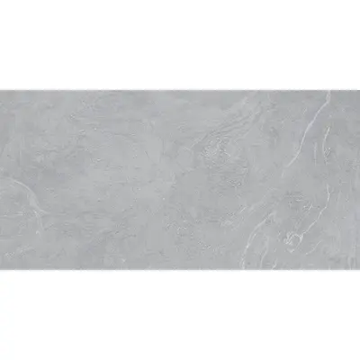 Vives Salerno R Ceniza 60x120