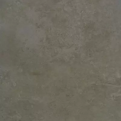Apavisa Evolution 8431940185793 Moss Lappato 59.55x59.55