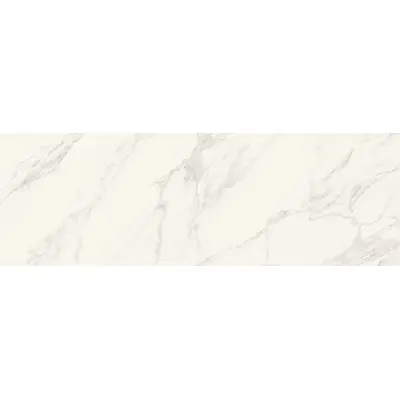 Stone Calacatta Glossy  100 100x300