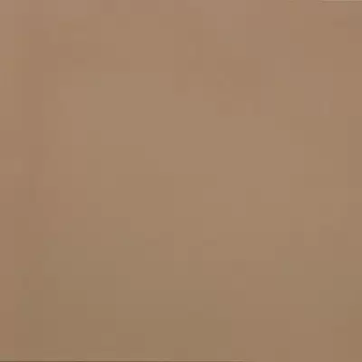 Casalgrande Padana R-evolution 11950036 Terra 60x60