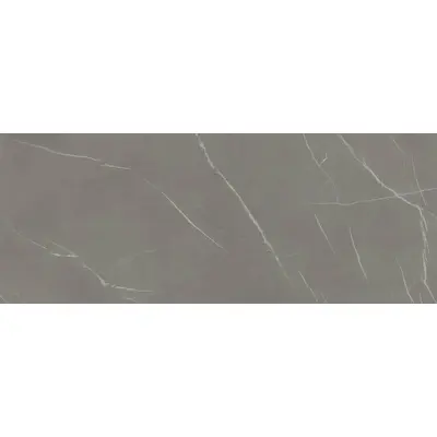 Laminam In Side LAMF009437 Pietra Piasentina Grigio Fiammato 120x300