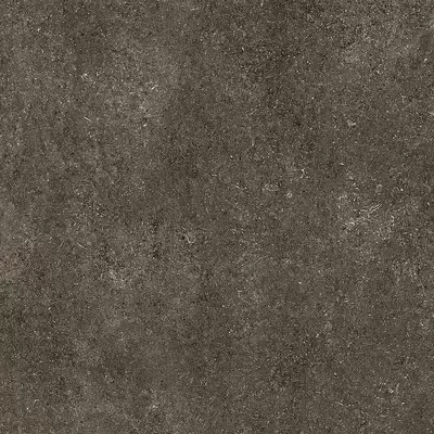 Casa Dolce Casa Sensi 768560 Brown Fossil 6 Mm 120x120
