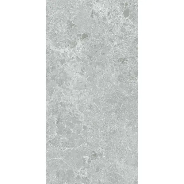 Stn Ceramica Charisma Grey Mt Rect 60x120