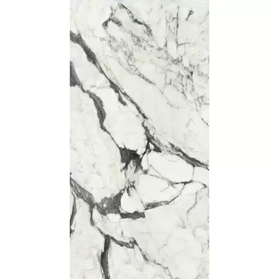 Rex Ceramiche Les Bijoux de Rex 765660 Calac Altissimo Mat 6mm Ret 160x320