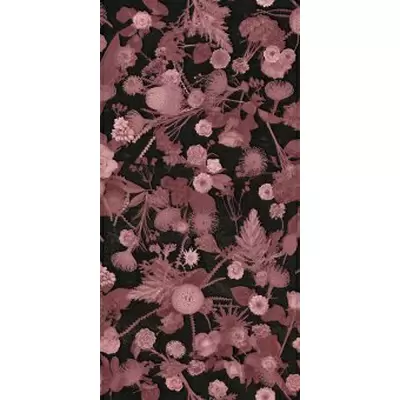 Sodai Bloom 7000135 Essenza Pink B 3.5 mm 50x100