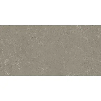 Ceramica Fioranese I Variegati IV628R Argilla 60,4x120,8