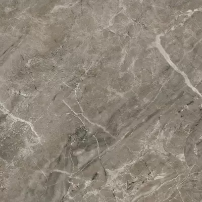 Versace Marble Grigio Onice Lap. 240016 58.5x58.5