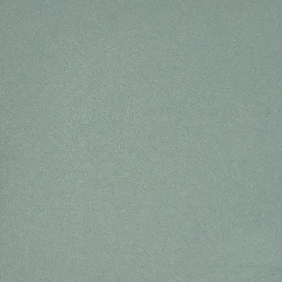 Casalgrande Padana Granito 1 Minnesota Levigato 8mm 30x30
