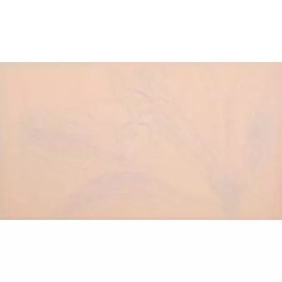 Iris Ceramica Romantica Salmone Incanto 25x46