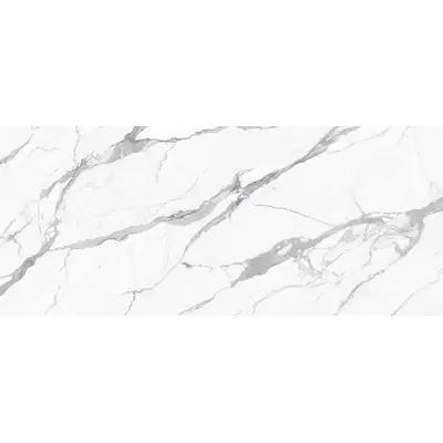 Stone Calacatta Statuario Reale Nat Rett 120x280