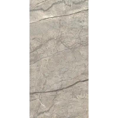 Caesar Anima Futura AGB6 Amazing Silver Luc 60x120