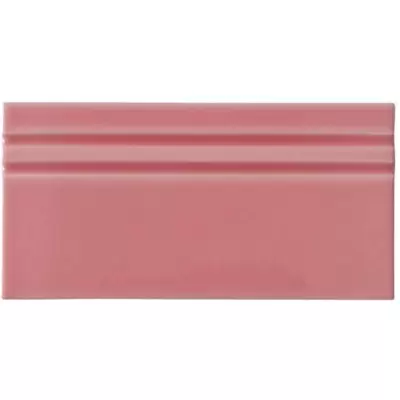 Adex Riviera ADRI5081 Rodapie Malvarrosa 10x20
