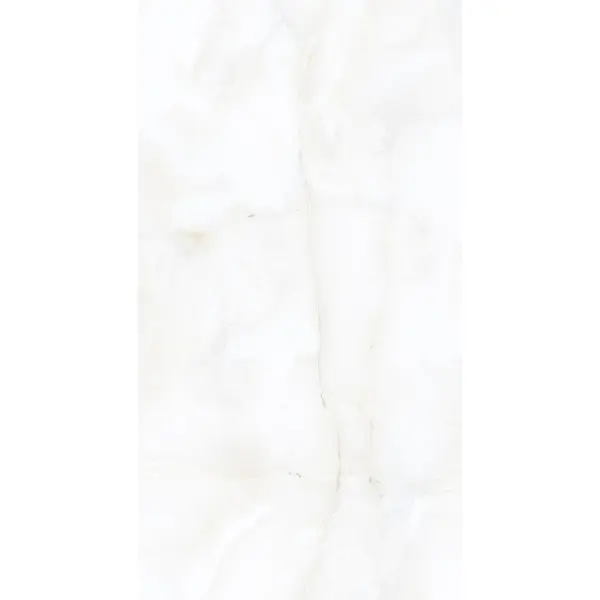 Alpas Euro Premium Marble Nikita White Pol 60x120 - керамическая плитка и керамогранит