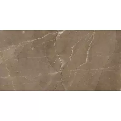 Cube Ceramica Mumbai Coffee 30x60
