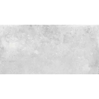 Museum Lens Silver/60/RW/R 60x120