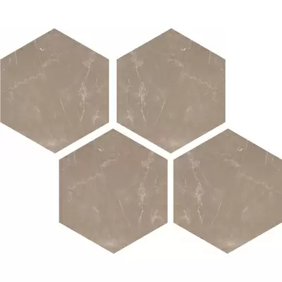 Casalgrande Padana Marmoker 2236128 Esagoni Pulpis Tortora Lucido 21,5x25