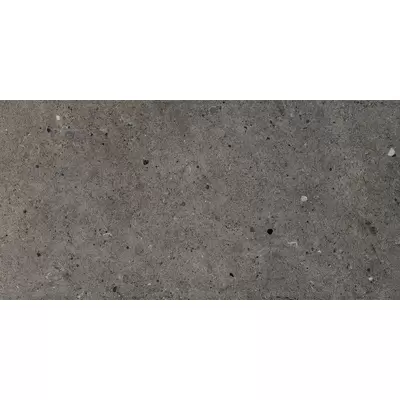 Impronta italgraniti Silver Grain SI05BA Dark 60x120