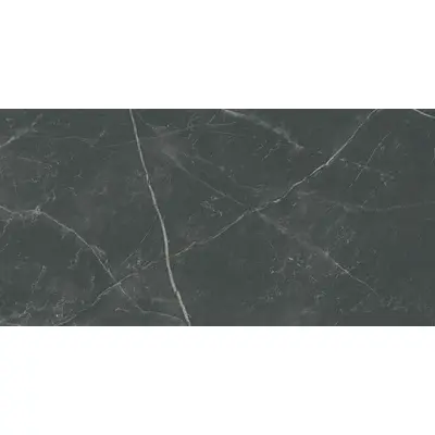 Flaviker PI.SA Supreme Memories Dark Stone Nat R 60x120