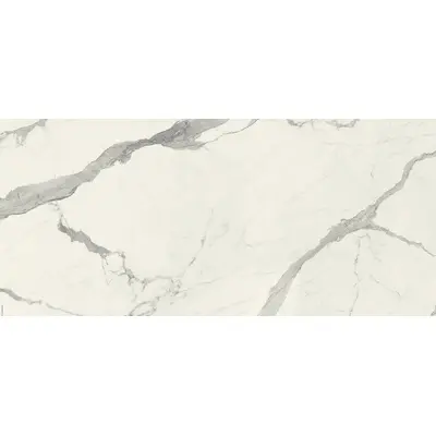 Stone Calacatta SC.VN.BSB.TCH BOOK 120x260
