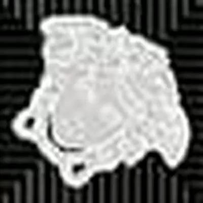 Versace Meteorite 47311 Tozzetto Medusa Lappato Nero/Platino 2,7x2,7