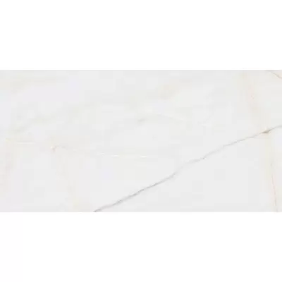 Undefasa Ceramica Essenza PW R 60x120