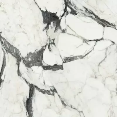 Rex Ceramiche Les Bijoux de Rex 766365 Calac Altissimo Glossy Ret 80x80
