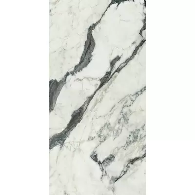 Rex Ceramiche Les Bijoux de Rex 765773 Calac Altissimo Mat 6mm Ret 60x120