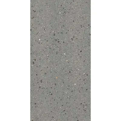 Wifi ceramics Terrazzone FP12619 Cinder Honed 60x120