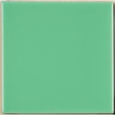 Senio Laccati Verde Medio 20x20