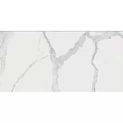 Rex Ceramiche I Classici Di Rex 747657 Statuario Chain B Soft 120x240