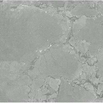Apavisa Natura 8431940349904 Grey Natural 59.55x59.55