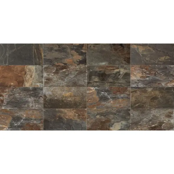 Century Geology 128659 Fossil Two Nat 50x100