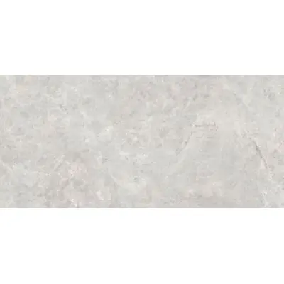 Zodiac Ceramica Latte Ash MN133AP271206 Polished 6 mm 120x270