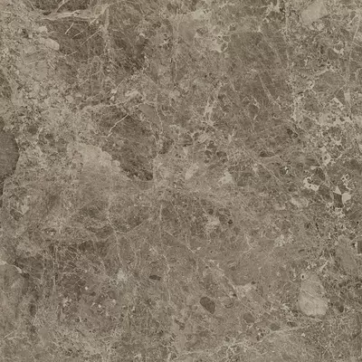 Atlas Concorde Russia Victory 610015000530 Taupe Lap 80x80