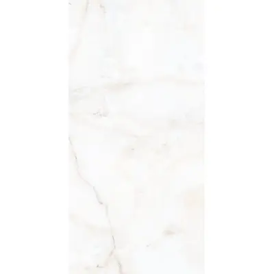 A-Ceramica 60x120 Antisky 2 Polished 60x120