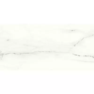 Ariostea Marmi Classici PL612523 Calacatta Lincoln luc 60x120